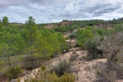 231111-caudete-11