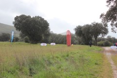 250323-Picon-Molina-1