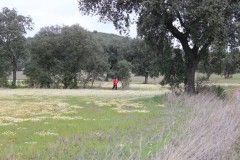 250323-Picon-Molina-23
