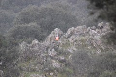 250323-Picon-Molina-33