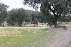 250323-Picon-Molina-44