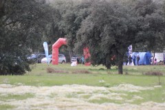 250323-Picon-Molina-68