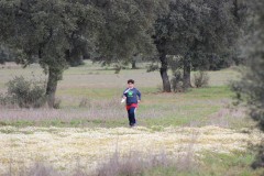 250323-Picon-Molina-69
