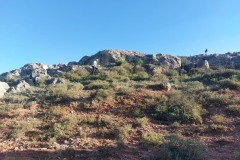 231006-casasdeves-10