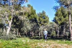 IMG-20240121-WA00432