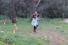IMG_8751