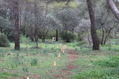 240121-la-atalaya-22